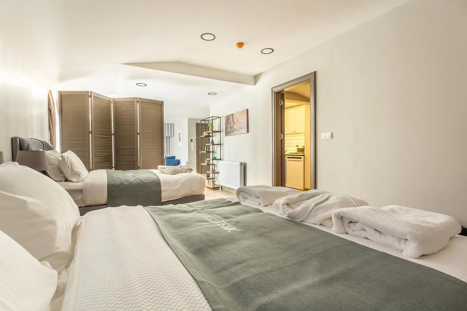 Διαμέρισμα Dm Suites Bosphorus Κωνσταντινούπολη
